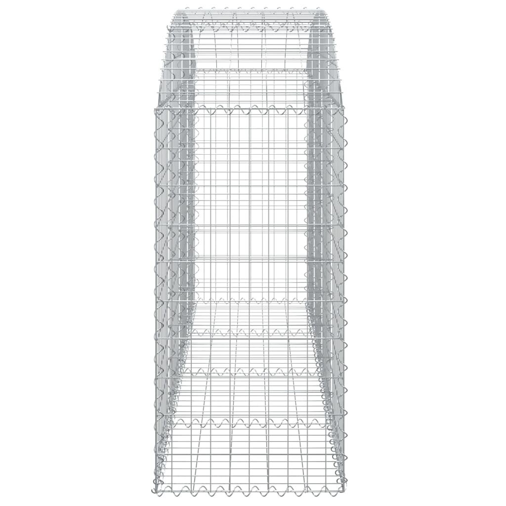 vidaXL kaarekujuline gabioonkorv, 200x50x100/120 cm, tsingitud raud hind ja info | Aiad ja tarvikud | kaup24.ee