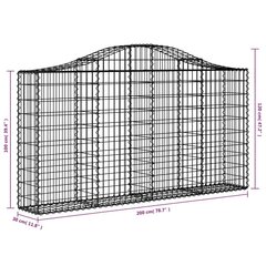 vidaXL kaarekujulised gabioonkorvid 5 tk, 200x30x100/120 cm, raud цена и информация | Заборы и принадлежности к ним | kaup24.ee