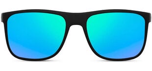 Meeste päikeseprillid Label L2971 цена и информация | Солнцезащитные очки для мужчин | kaup24.ee