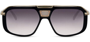 Солнцезащитные очки Label L5555 цена и информация | Солнцезащитные очки для мужчин | kaup24.ee