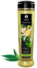 Massaažiõli Shunga Organica, 240 ml hind ja info | Massaažiõlid | kaup24.ee