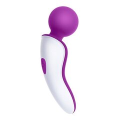 Вибратор S Pleasures Snug Wand, 9 вибраций цена и информация | Вибраторы | kaup24.ee