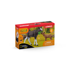 Самка лося с лосенком Schleich Wild Life цена и информация | Игрушки для девочек | kaup24.ee