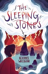 Sleeping Stones hind ja info | Noortekirjandus | kaup24.ee