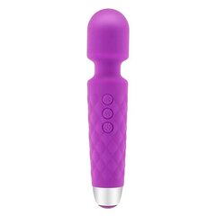 Vibraator S Pleasures The Wand hind ja info | Vibraatorid | kaup24.ee