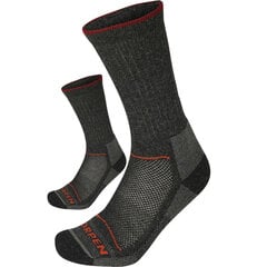 Мужские носки Merino Hiker Eco Lorpen T2WE - серый 8445042938003 цена и информация | Мужские носки | kaup24.ee