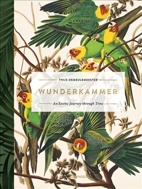 Wunderkammer: An Exotic Journey Through Time hind ja info | Arhitektuuriraamatud | kaup24.ee