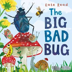 Big Bad Bug цена и информация | Книги для малышей | kaup24.ee