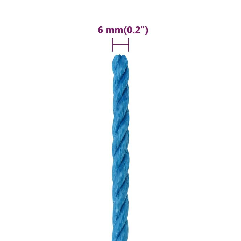 vidaXL köis, sinine, 6 mm, 250 m цена и информация | Aiatööriistad | kaup24.ee