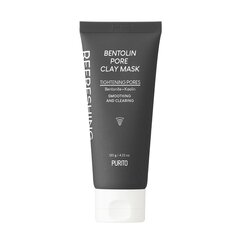 Очищающая глиняная маска Purito Bentolin Pore, 120г цена и информация | Маски для лица, патчи для глаз | kaup24.ee