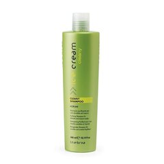 Ice Cream Cleane šampoon, 300 ml hind ja info | Šampoonid | kaup24.ee