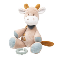 Музыкальный жираф Nattou цена и информация | Игрушки для малышей | kaup24.ee