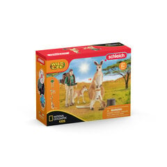 Seiklused looduses Shleich Wild Life hind ja info | Poiste mänguasjad | kaup24.ee