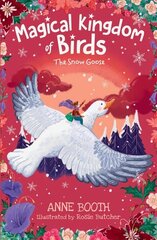 Magical Kingdom of Birds: The Snow Goose цена и информация | Книги для подростков и молодежи | kaup24.ee
