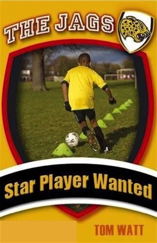 Star Player Wanted цена и информация | Noortekirjandus | kaup24.ee