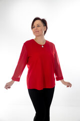 Блузка с рукавами из шифона цена и информация | Женские блузки, рубашки | kaup24.ee