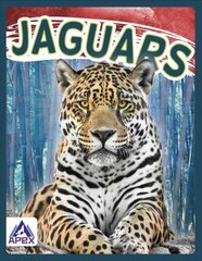 Wild Cats: Jaguars цена и информация | Книги для подростков и молодежи | kaup24.ee