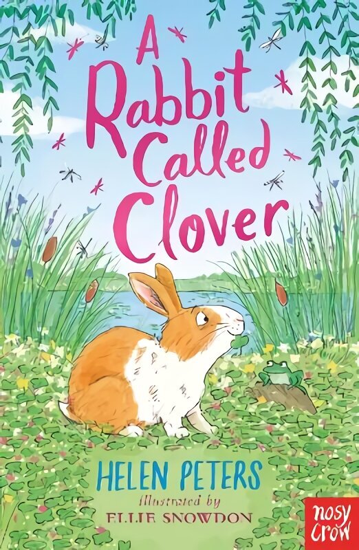 Rabbit Called Clover hind ja info | Noortekirjandus | kaup24.ee