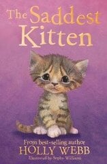 Saddest Kitten цена и информация | Книги для подростков и молодежи | kaup24.ee