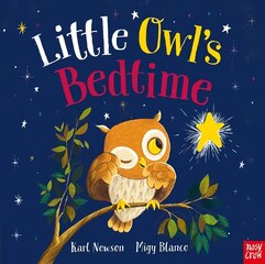 Little Owl's Bedtime Paperback hind ja info | Väikelaste raamatud | kaup24.ee