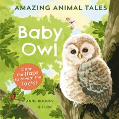 Amazing Animal Tales: Baby Owl 1 hind ja info | Väikelaste raamatud | kaup24.ee