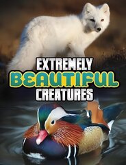 Extremely Beautiful Creatures цена и информация | Книги для подростков и молодежи | kaup24.ee