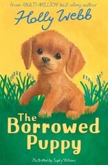 Borrowed Puppy цена и информация | Книги для подростков и молодежи | kaup24.ee