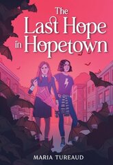The Last Hope in Hopetown цена и информация | Книги для подростков и молодежи | kaup24.ee