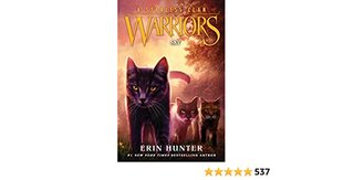 Warriors: A Starless Clan #2: Sky hind ja info | Noortekirjandus | kaup24.ee