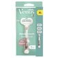 Gillette Venus Sensitive Rose Gold + Vahetusterad 3 tk цена и информация | Raseerimisvahendid | kaup24.ee