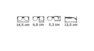 Солнцезащитные очки для мужчин Prius цена и информация | Стильные мужские солнцезащитные очки | kaup24.ee