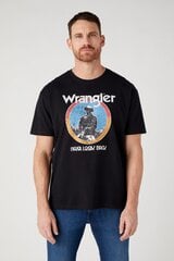 Футболкa Wrangler цена и информация | Мужские футболки | kaup24.ee
