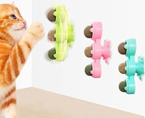 Игрушка для кошек,3 шт цена и информация | Игрушка для кошек | kaup24.ee