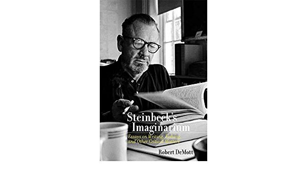 Steinbeck's Imaginarium: Essays on Writing, Fishing, and Other Critical Matters цена и информация | Ajalooraamatud | kaup24.ee