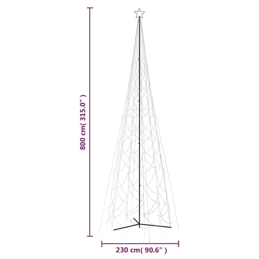 vidaXL koonusekujuline jõulupuu, külm valge, 3000 LEDi, 230x800 cm hind ja info | Jõulukaunistused | kaup24.ee