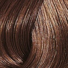 Краска для волос Wella Color Touch 60 мл, 6/73 цена и информация | Краска для волос | kaup24.ee