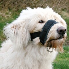 Нейлоновый намордник для собак : Trixie Muzzle Loop, нейлон, L, доберман, шейный ремешок: 16:28 см, ремешок для морды: 18:30 см цена и информация | Ошейники, подтяжки для собак | kaup24.ee