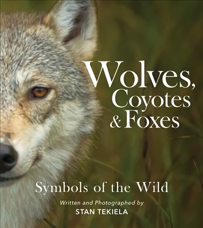 Wolves, Coyotes & Foxes: Symbols of the Wild hind ja info | Entsüklopeediad, teatmeteosed | kaup24.ee