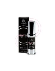 SECRETPLAY RETARDING GEL FOR MEN ENDLESS PLEASURE 15 ML hind ja info | Lubrikandid | kaup24.ee