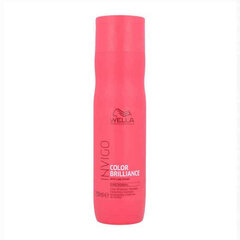 Šampoon Wella Invigo Color Brilliance Color, 250 ml hind ja info | Šampoonid | kaup24.ee