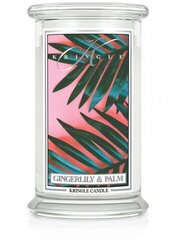 Большая свеча Kringle Candle с двумя фитилями Gingerlily & Palm, 623 г цена и информация | Подсвечники, свечи | kaup24.ee