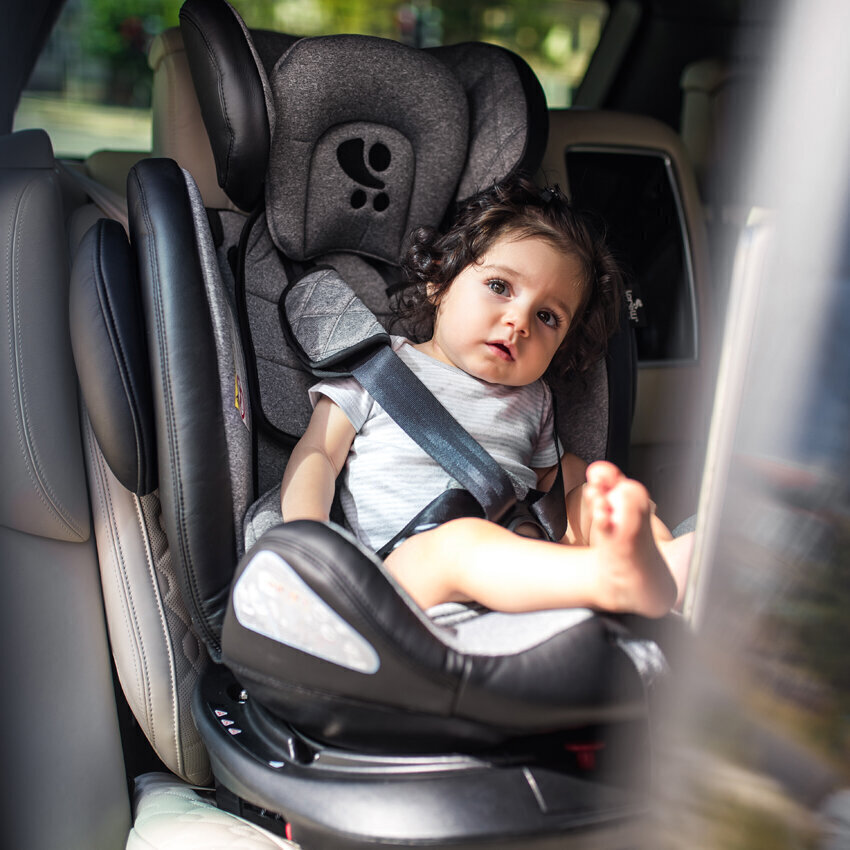 Turvahäll Lorelli Aviator Isofix, 0-36 kg, Lemon Curry hind ja info | Turvatoolid | kaup24.ee