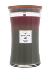 WoodWick lõhnaküünal Trilogy Hearthside, 609.5 g hind ja info | Küünlad, küünlajalad | kaup24.ee