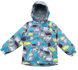 Весенняя куртка для мальчиков цена и информация | Куртки для мальчиков | kaup24.ee