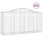 vidaXL kaarekujulised gabioonkorvid 12 tk, 200x50x100/120 cm, raud цена и информация | Aiad ja tarvikud | kaup24.ee