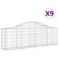 vidaXL kaarekujulised gabioonkorvid 9 tk, 200x30x60/80 cm, raud hind ja info | Aiad ja tarvikud | kaup24.ee