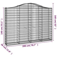 vidaXL kaarekujulised gabioonkorvid 9 tk, 200x30x140/160 cm, raud цена и информация | Заборы и принадлежности к ним | kaup24.ee