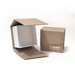Hōbekōrvarōngad ''Spark'' SAKC643010AQSH hind ja info | Kõrvarõngad | kaup24.ee
