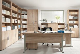 Riiul BRW Office, 221x79x35 cm, tamm цена и информация | Полки | kaup24.ee