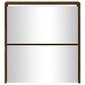 vidaXL 2 sahtliga jalanõudekapp peegliga, suitsutatud tamm, 63x17x67 cm hind ja info | Jalatsikapid, jalatsiriiulid | kaup24.ee